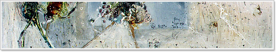 ד"ר זמירה פורן ציון